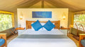 TENT SUITES KING