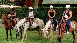 Horseback riding group at Vista Los Sueños, Herradura