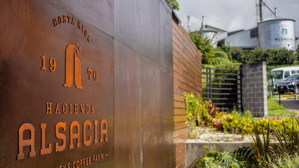 Entrance and visitor center at Hacienda Alsacia coffee farm, Costa Rica