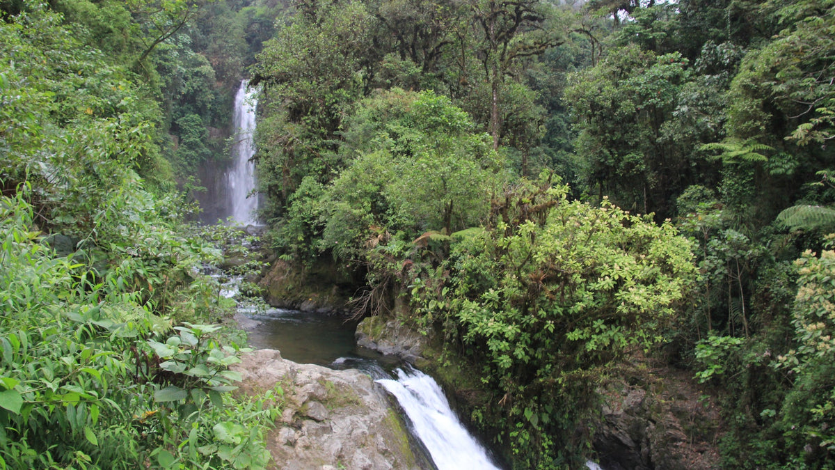 La paz waterfalls