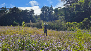 Visitor observing the forest edge among flowering plants at Refugio Monteverde
