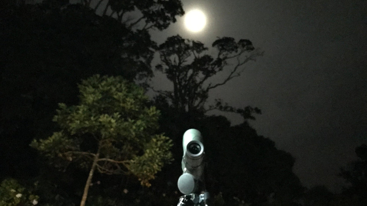 Spotting scope beneath a moonlit sky and trees at Refugio Monteverde