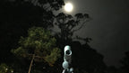 Spotting scope beneath a moonlit sky and trees at Refugio Monteverde