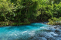 Río Celeste & Tenorio Volcano National Park Tour
