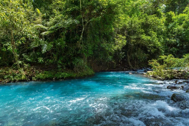 Río Celeste & Tenorio Volcano National Park Tour