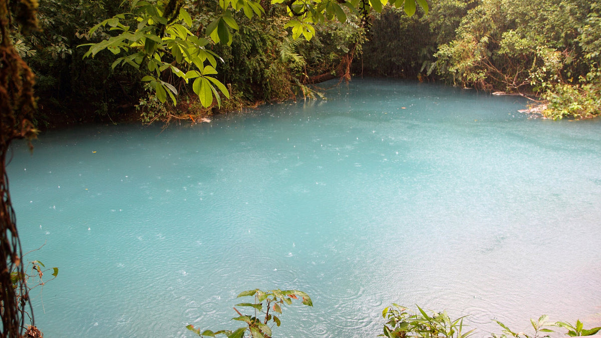 Sky-blue water of Río Celeste in Tenorio Volcano National Park, Costa Rica