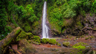 Waterfall and surrounding rainforest on Xandari Resort’s nature trails